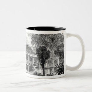 Taza Bicolor La casa del plantador en el Mississippi
