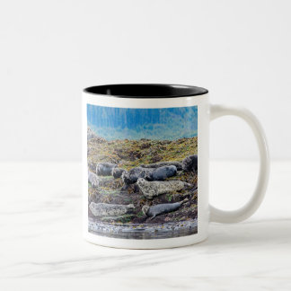 Taza Bicolor La familia de los leones marinos