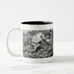 Taza Bicolor La familia feliz - urogallo superado y jóvenes -