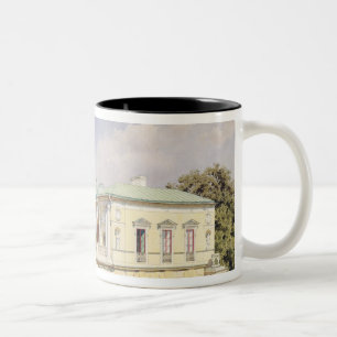 Taza Bicolor La galería de Cameron en Tsarskoye Selo, 1859
