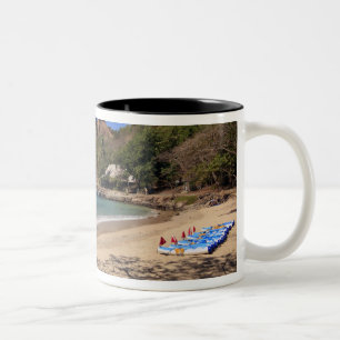 Taza Bicolor La playa en el Parque Nacional de la Isla de Pigeo