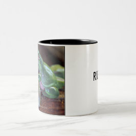 Taza Bicolor La rana regordeta asombrosa