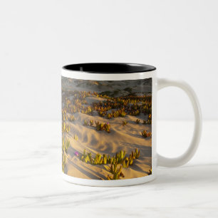 Taza Bicolor La salida del sol ilumina las dunas de arena y la