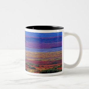 Taza Bicolor La tundra del Parque Nacional Denali a finales
