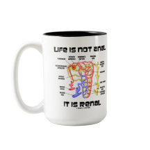 La vida no es anal él es renal (riñón Nephron)