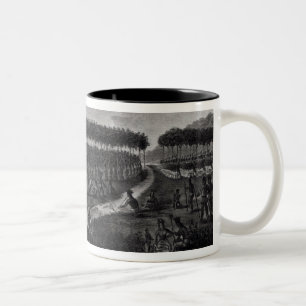 Taza Bicolor La vista del gran tratado celebró en la pradera d