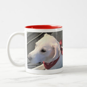 Taza Bicolor Labrador blanco perro de mezcla con bufanda roja