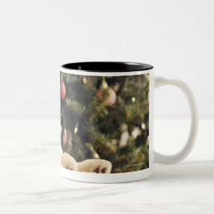 Taza Bicolor Labrador joven que se inclina en un regalo de