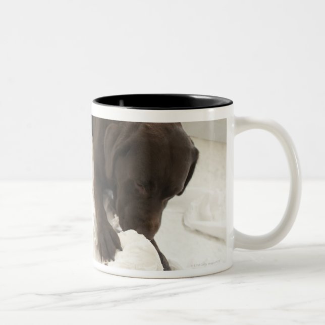 Taza Bicolor Labrador marrón (Derecha)