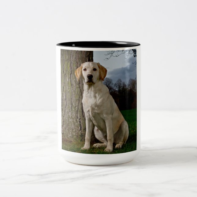 Taza Bicolor Labrador Mug (Centro)