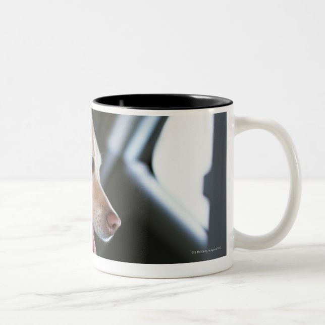 Taza Bicolor Labrador retriever (Derecha)