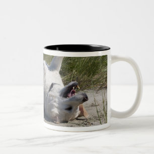 Taza Bicolor Labrador retriever amarillo
