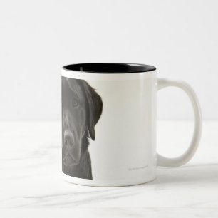 Taza Bicolor Labrador retriever negro