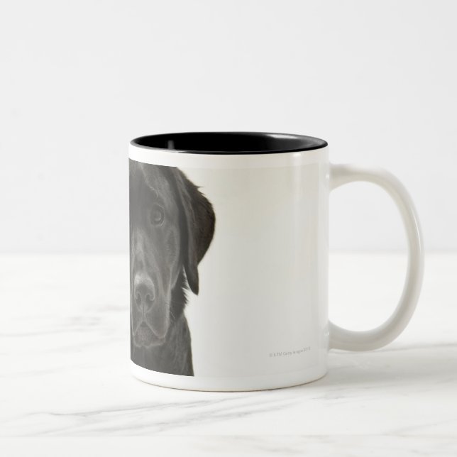 Taza Bicolor Labrador retriever negro (Derecha)