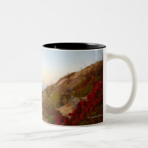 Taza Bicolor Ladera rocosa, flores rojas, parque nacional del