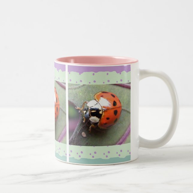 Taza Bicolor Ladybug Mug (Derecha)