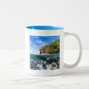 Taza Bicolor Laja Ampat 2 subacuáticos