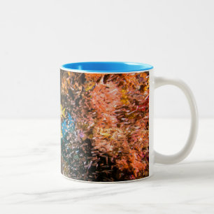 Taza Bicolor Laja Ampat 6 subacuáticos