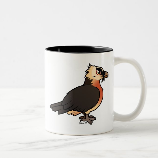 Taza Bicolor Lammergeier lindo (Derecha)