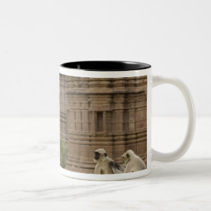 Taza Bicolor Langures de Hanuman o de cara negra, comunes o gri