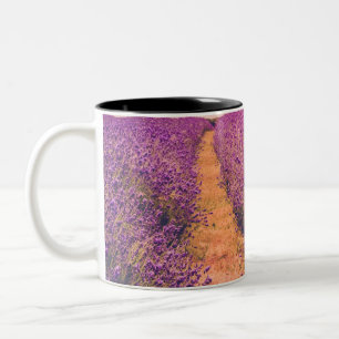 Taza Bicolor Lavander