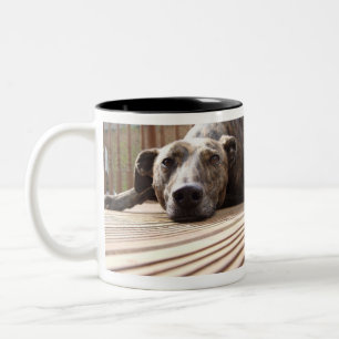 Taza Bicolor Lazy Lurcher