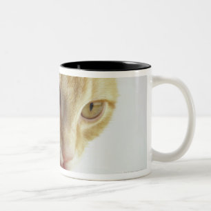 Taza Bicolor Leche de consumo del gato