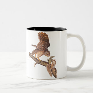 Taza Bicolor Lechuza Barroja y arte Audubon de la ardilla feliz