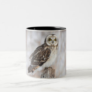 Taza Bicolor Lechuza Corta