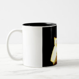 Taza Bicolor Lechuzas divertidas brillando
