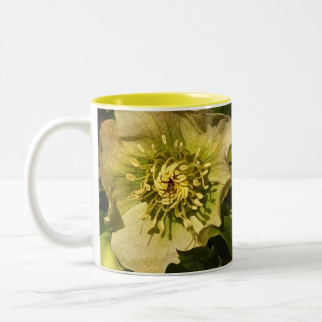 Taza Bicolor Lenten Rosa Hellebore (Izquierda)