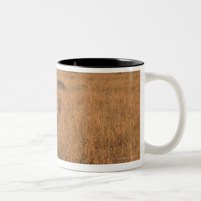Taza Bicolor León (Derecha)