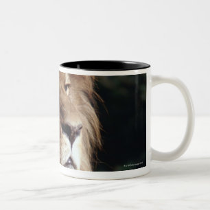 Taza Bicolor león