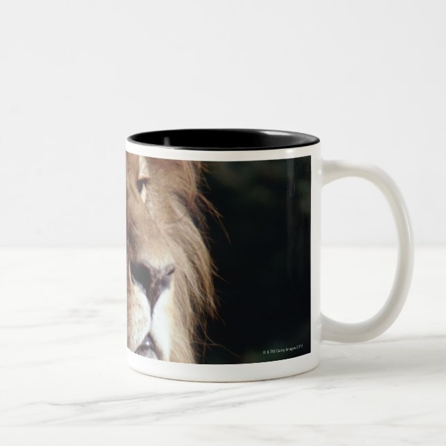 Taza Bicolor león (Derecha)