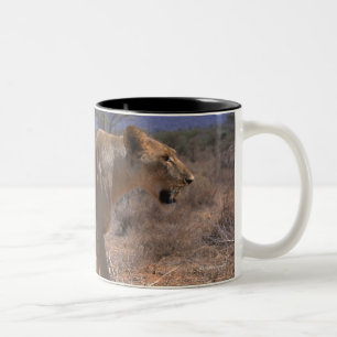 Taza Bicolor León 3