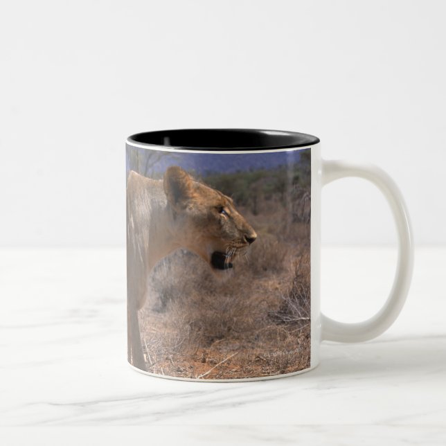 Taza Bicolor León 3 (Derecha)