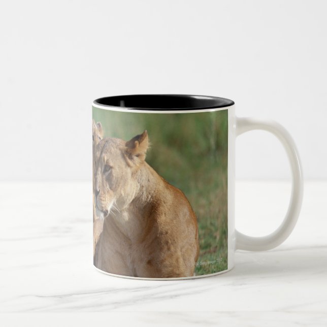 Taza Bicolor León 5 (Derecha)