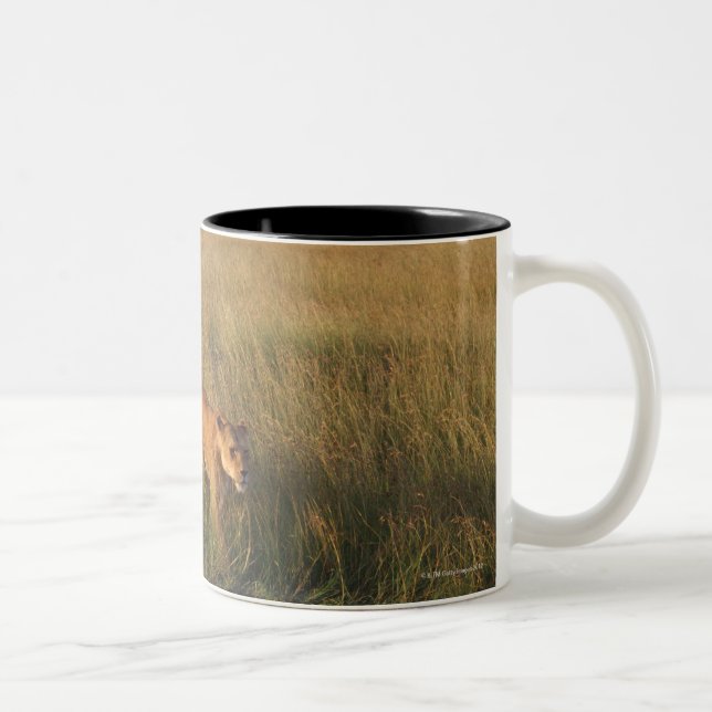 Taza Bicolor León 6 (Derecha)