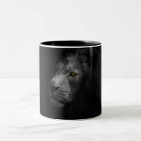 León majestuoso, fotografía en blanco y negro