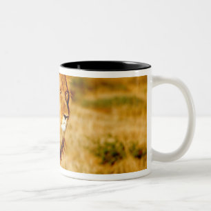 Taza Bicolor León Solitario