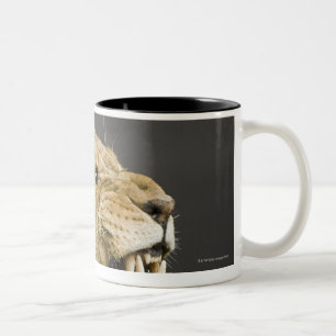 Taza Bicolor Leona que ruge 2