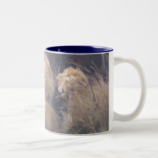Taza Bicolor Leones de Kalahari (Derecha)
