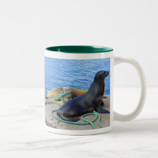 Taza Bicolor Leones marinos