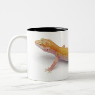 Taza Bicolor Leopard Gecko Lizard