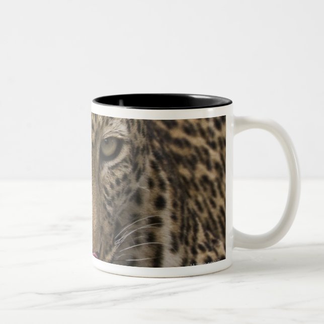 Taza Bicolor Leopardo (Derecha)