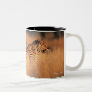 Taza Bicolor Leopardo (pardus del Panthera)