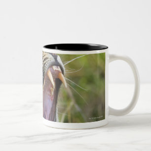 Taza Bicolor Leopardo que bosteza, mayor parque nacional de
