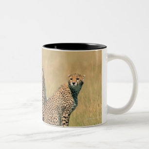 Taza Bicolor Leopardos que miran lejos