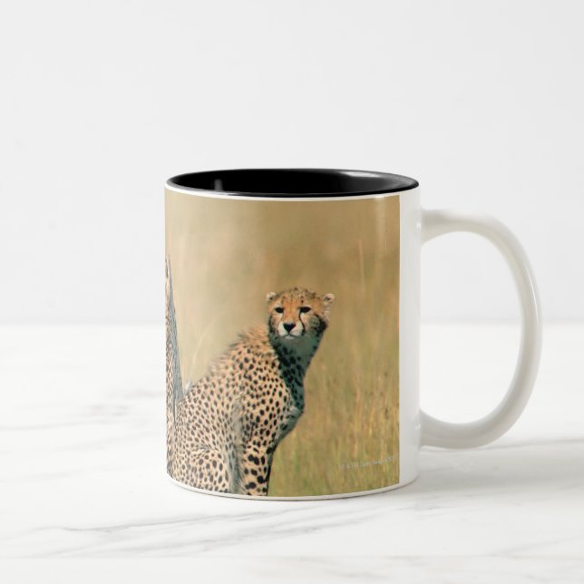 Taza Bicolor Leopardos que miran lejos (Derecha)
