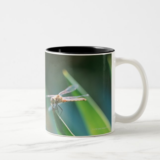 Taza Bicolor Libélula (Derecha)